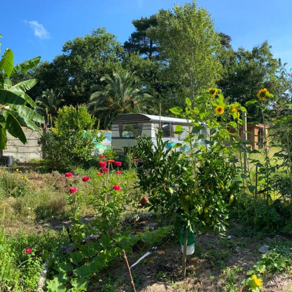 Aïale, horticultural therapy, nature, ecotherapy, gardening, garden, self-care, nature and well-being, nature and health, hands-on learning, relaxation in nature, Biarritz, Basque Country, connecting with nature, garden relaxation, calming down, outdoors, individuals, businesses, associations, Basque Coast, Bidart, BAB